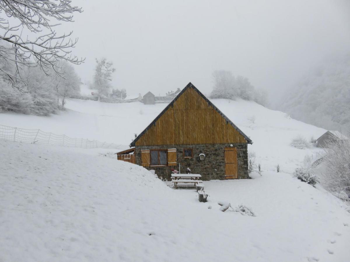 Le Bordarriben Sauna & Spa 4 Etoiles Gedre Exterior photo